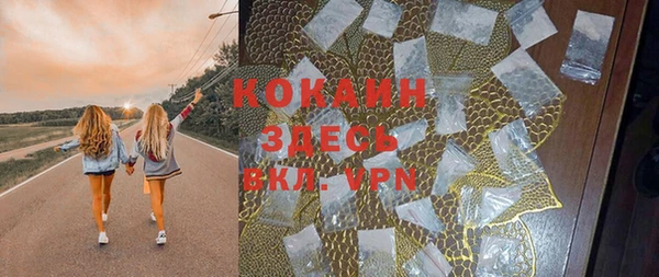 дурь Алексин