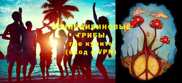 дурь Алексин