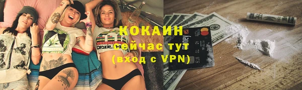 дурь Алексин