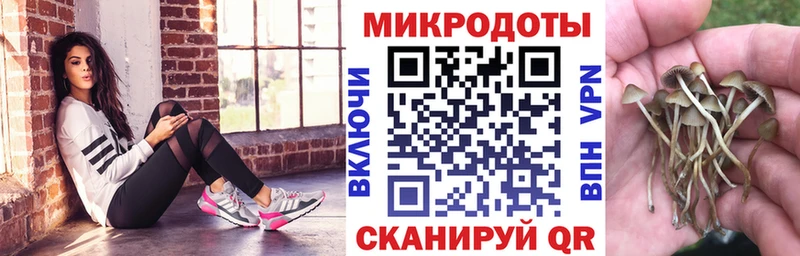 kraken tor  Бокситогорск  Галлюциногенные грибы мухоморы 