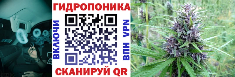 Каннабис OG Kush  купить закладку  Бокситогорск 